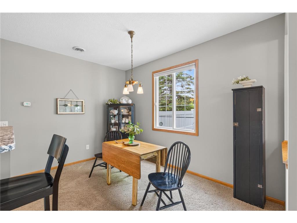 9649 Peony Lane N #1110 Maple Grove MN 55311 7106285 image11