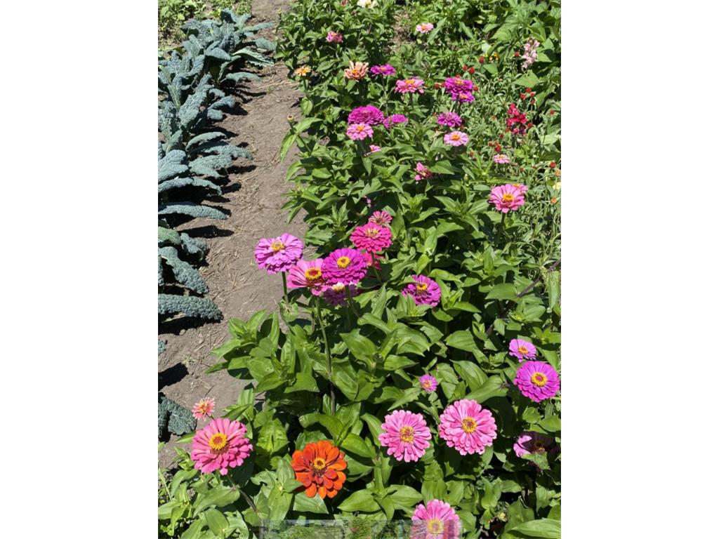 965 Larpenteur Avenue W Roseville MN 55113 7034910 image23