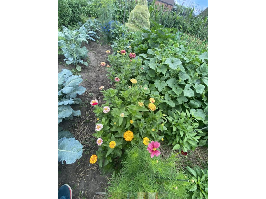 965 Larpenteur Avenue W Roseville MN 55113 7034910 image25