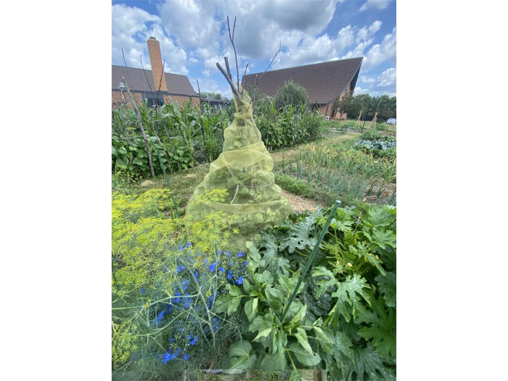 965 Larpenteur Avenue W Roseville MN 55113 7034910 image26