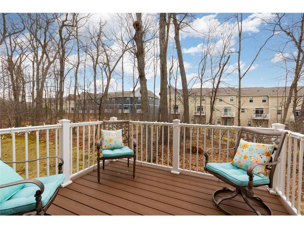 9655 Merrimac Lane N Maple Grove MN 55369 7053250 image34