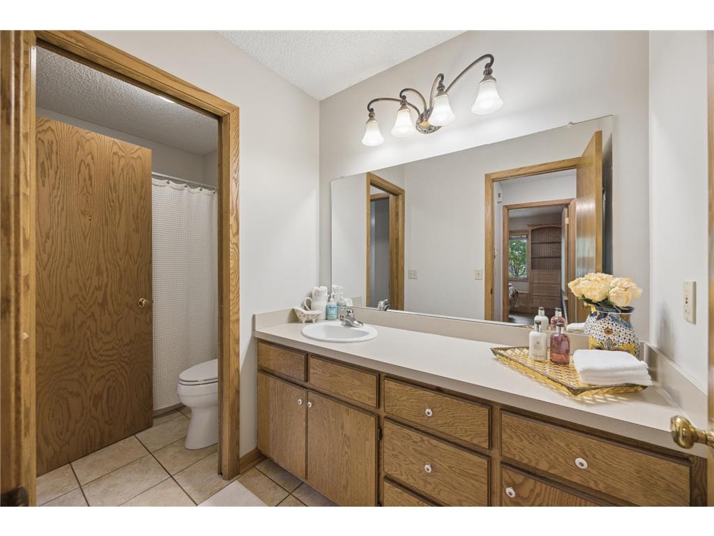 9656 Parkside Trail Champlin MN 55316 7068319 image11