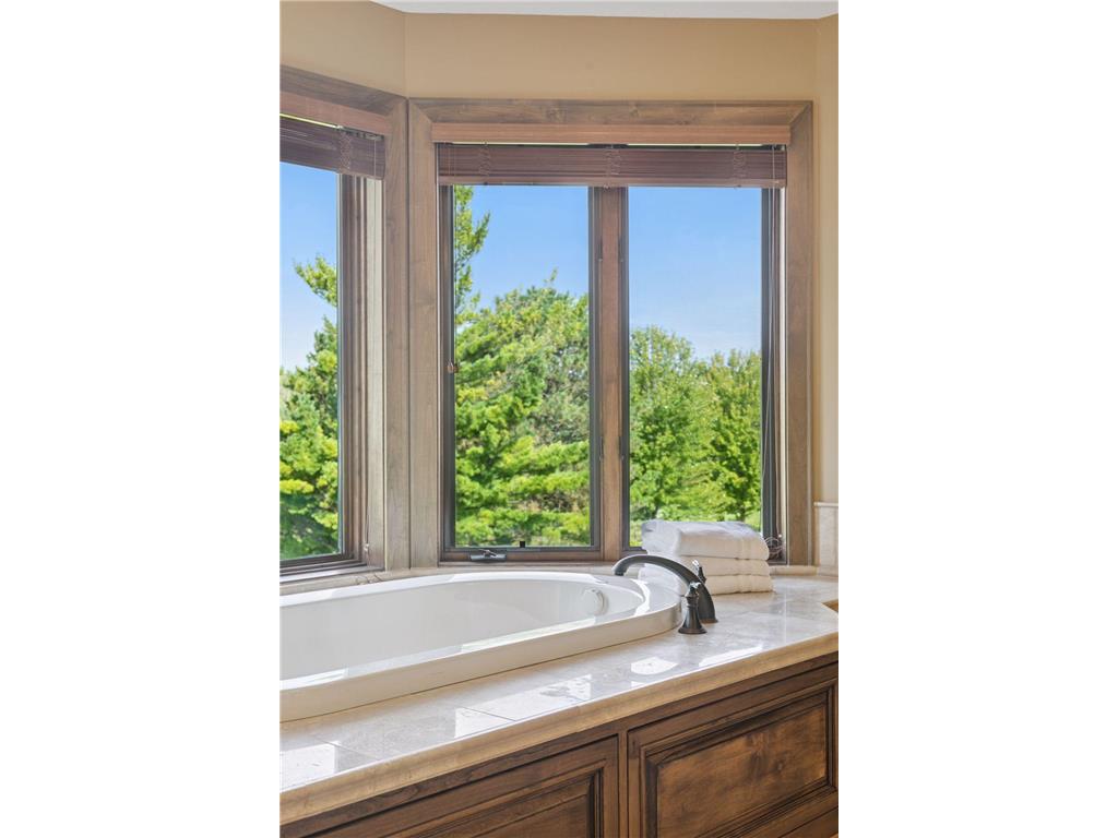 9658 Wedgewood Court Woodbury MN 55125 6777793 image52