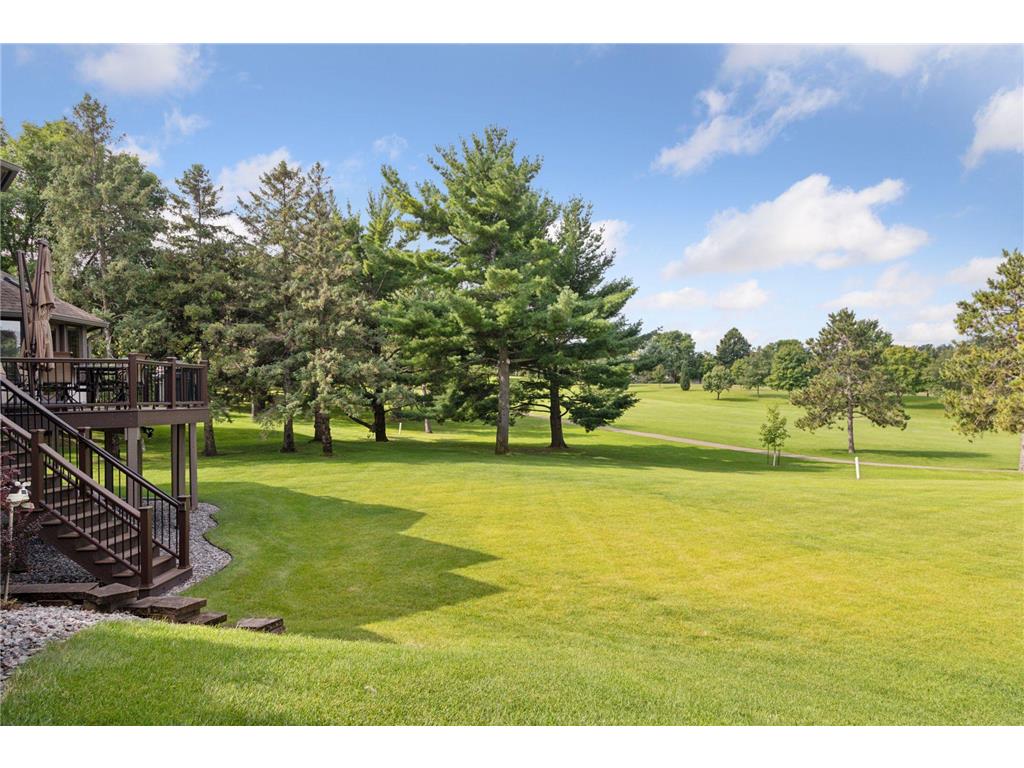 9658 Wedgewood Court Woodbury MN 55125 6777793 image73