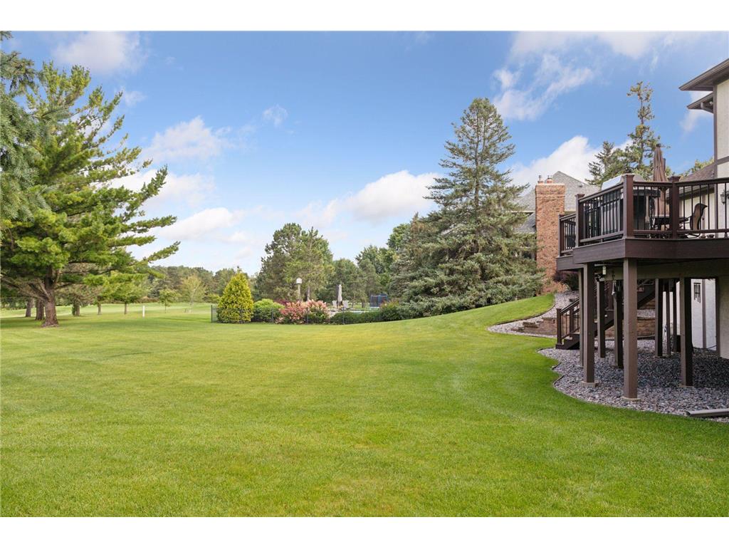 9658 Wedgewood Court Woodbury MN 55125 6777793 image75