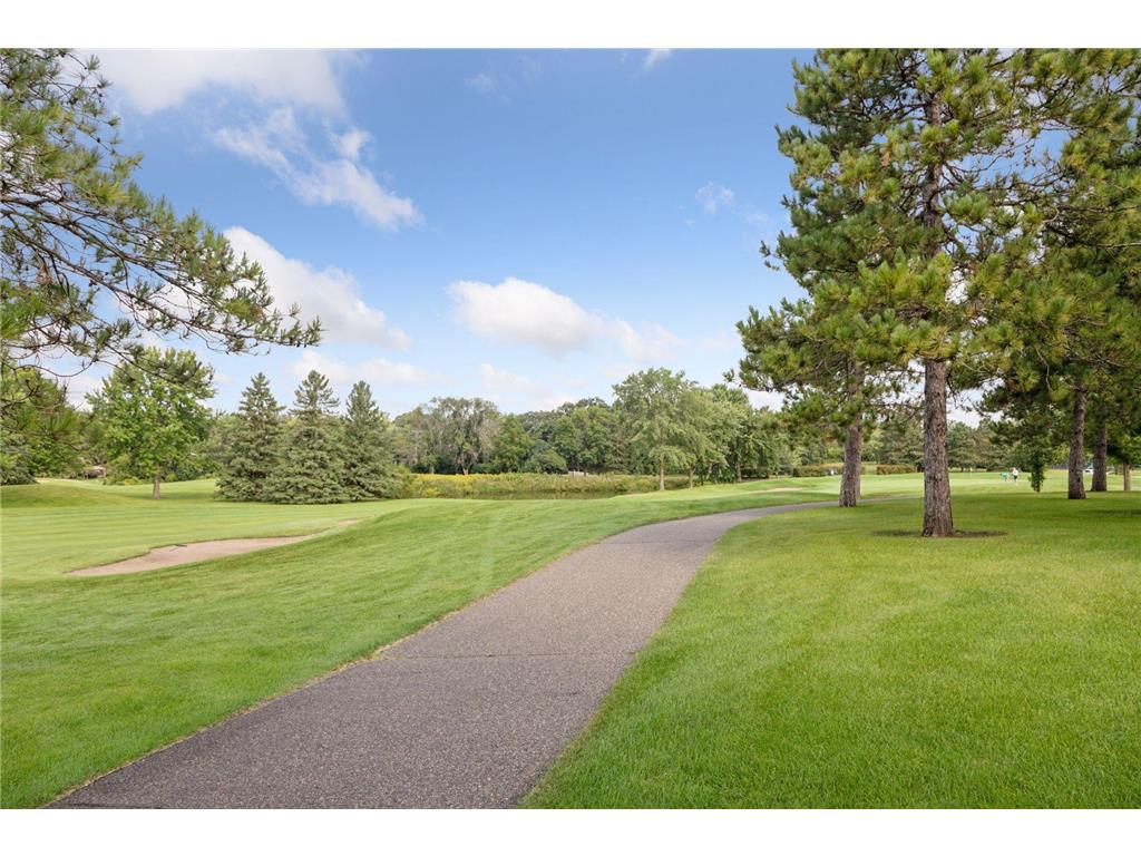 9658 Wedgewood Court Woodbury MN 55125 6777793 image79