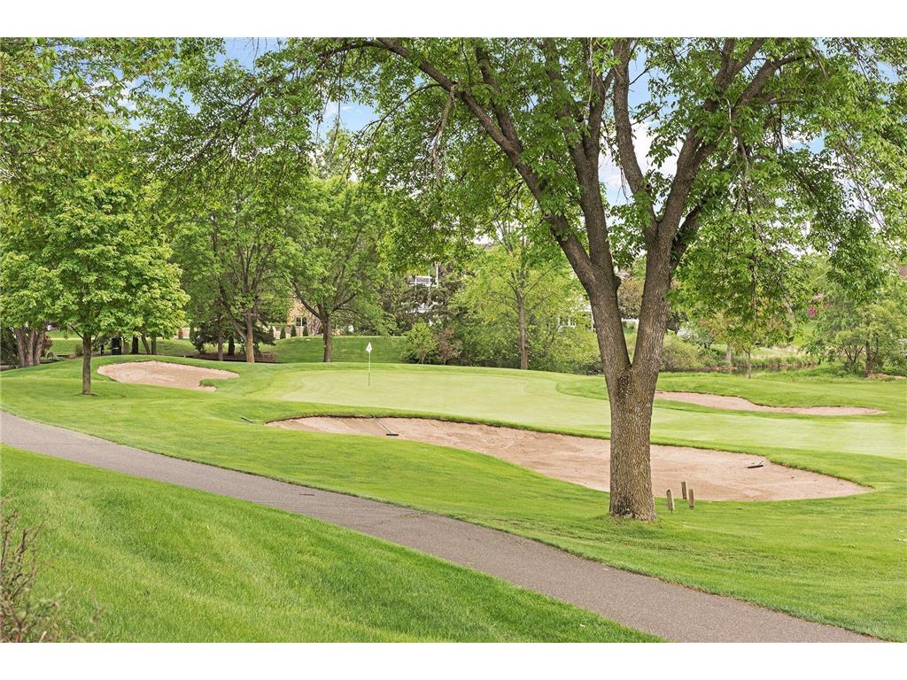 9658 Wedgewood Court Woodbury MN 55125 6777793 image90