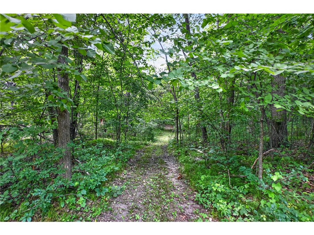 9661 County Road 11 NE Alexandria MN 56308 7115351 image14