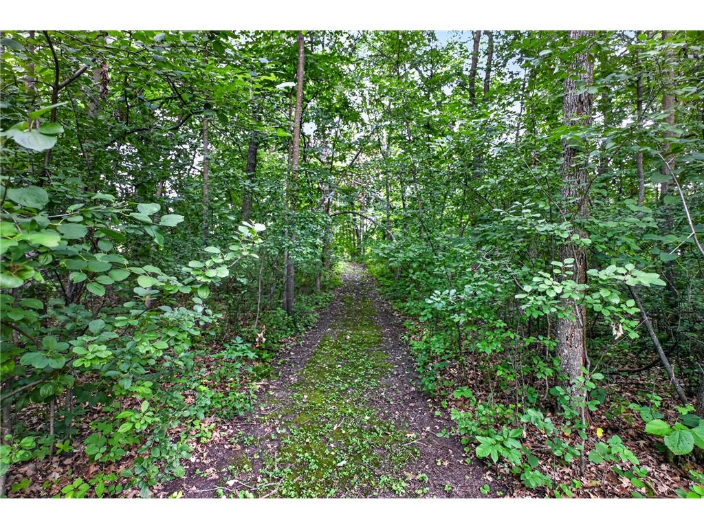 9661 County Road 11 NE Alexandria MN 56308 7115351 image15