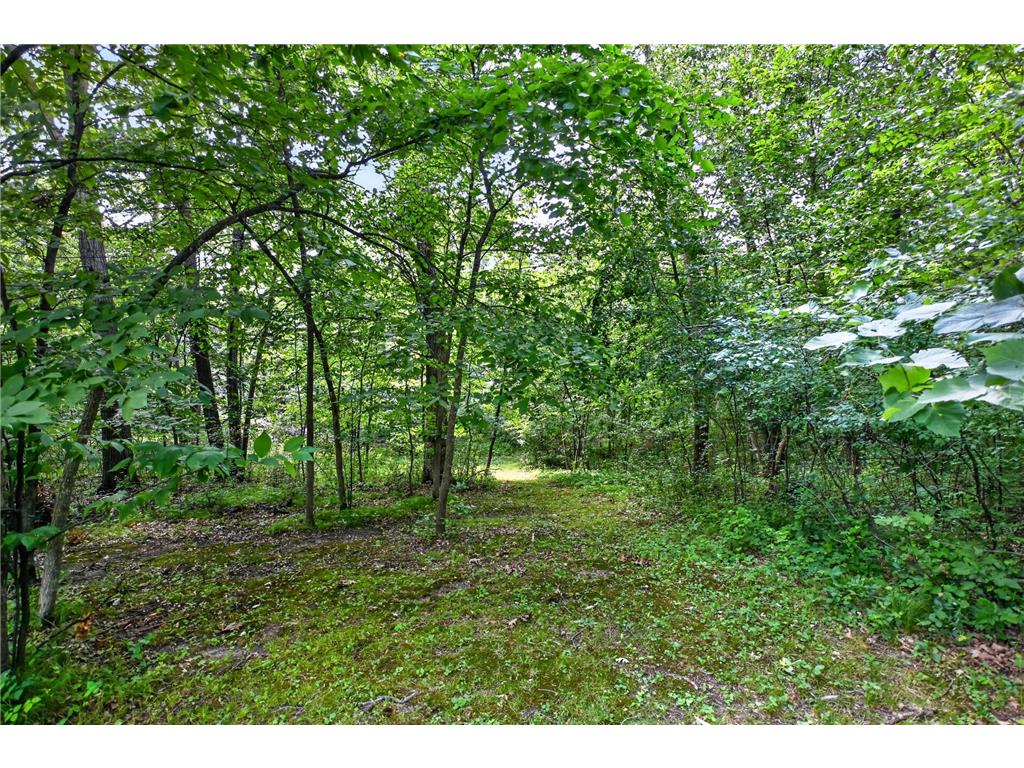 9661 County Road 11 NE Alexandria MN 56308 7115351 image16