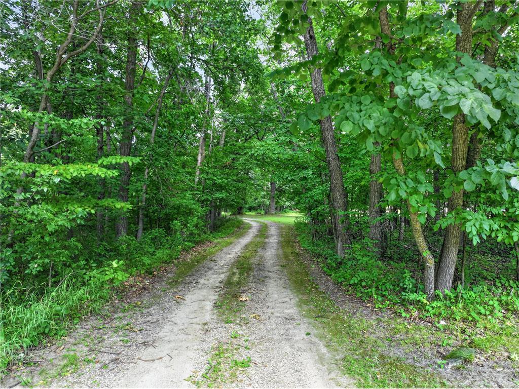 9661 County Road 11 NE Alexandria MN 56308 7115351 image9