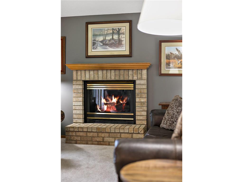 9662 84th Street Bay S Cottage Grove MN 55016 6805821 image11