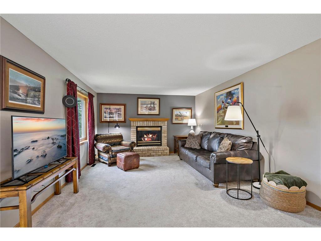9662 84th Street Bay S Cottage Grove MN 55016 6805821 image26