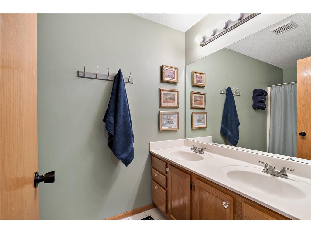 9662 84th Street Bay S Cottage Grove MN 55016 6805821 image36