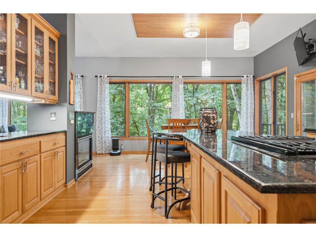 9663 Woodlawn Place N Champlin MN 55316 7101538 image27