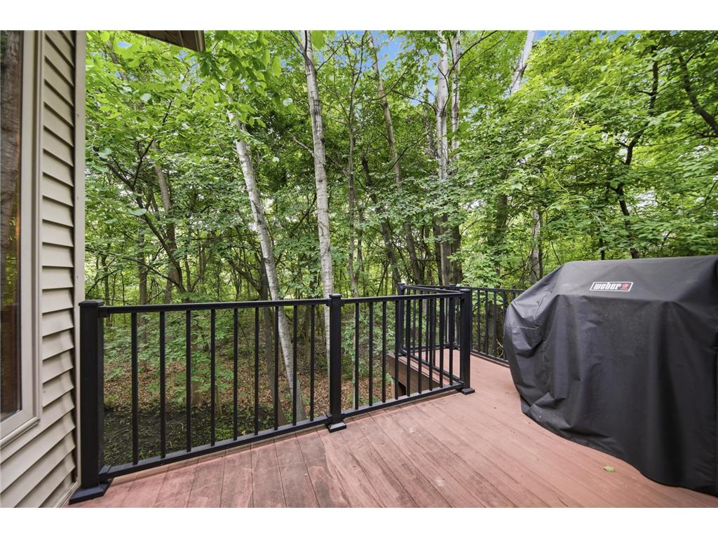 9663 Woodlawn Place N Champlin MN 55316 7101538 image34
