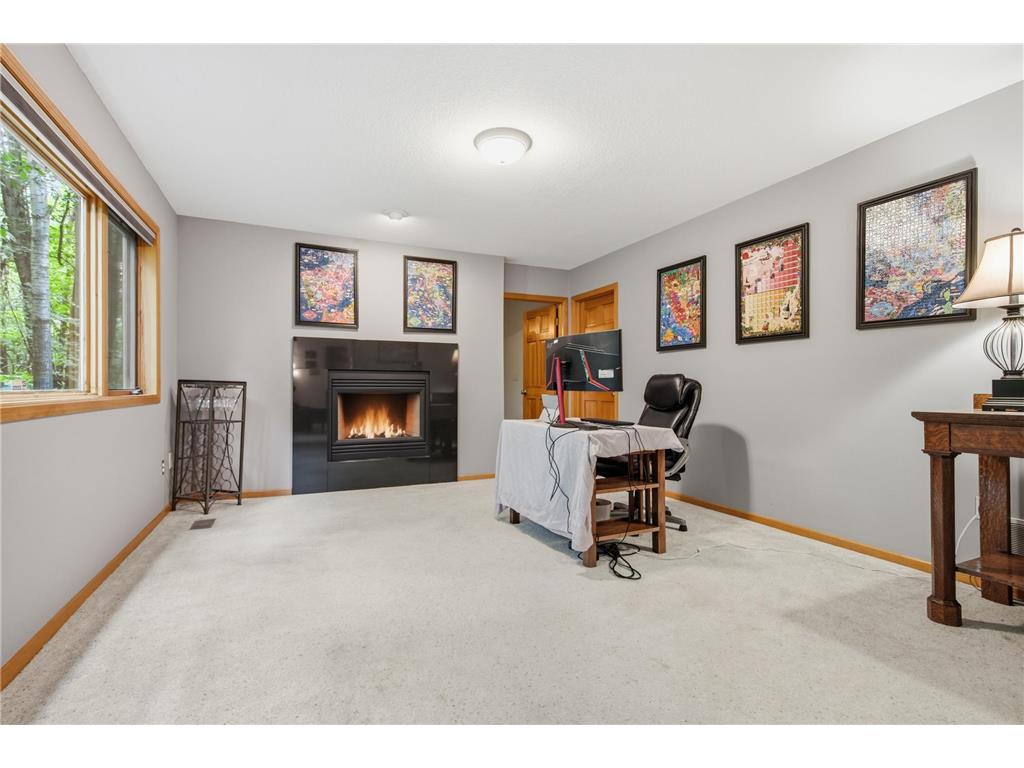 9663 Woodlawn Place N Champlin MN 55316 7101538 image47