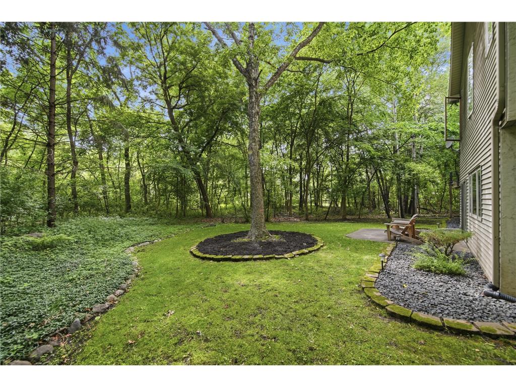 9663 Woodlawn Place N Champlin MN 55316 7101538 image55