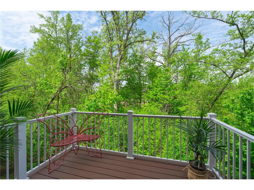 9669 Olive Lane N Maple Grove MN 55311 7080316 image11