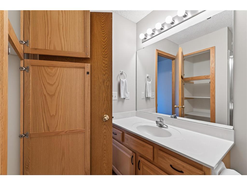 967 Breckenridge Lane Montrose MN 55363 7055664 image41