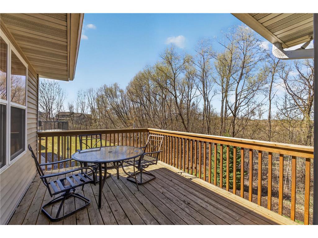 967 Breckenridge Lane Montrose MN 55363 7055664 image49