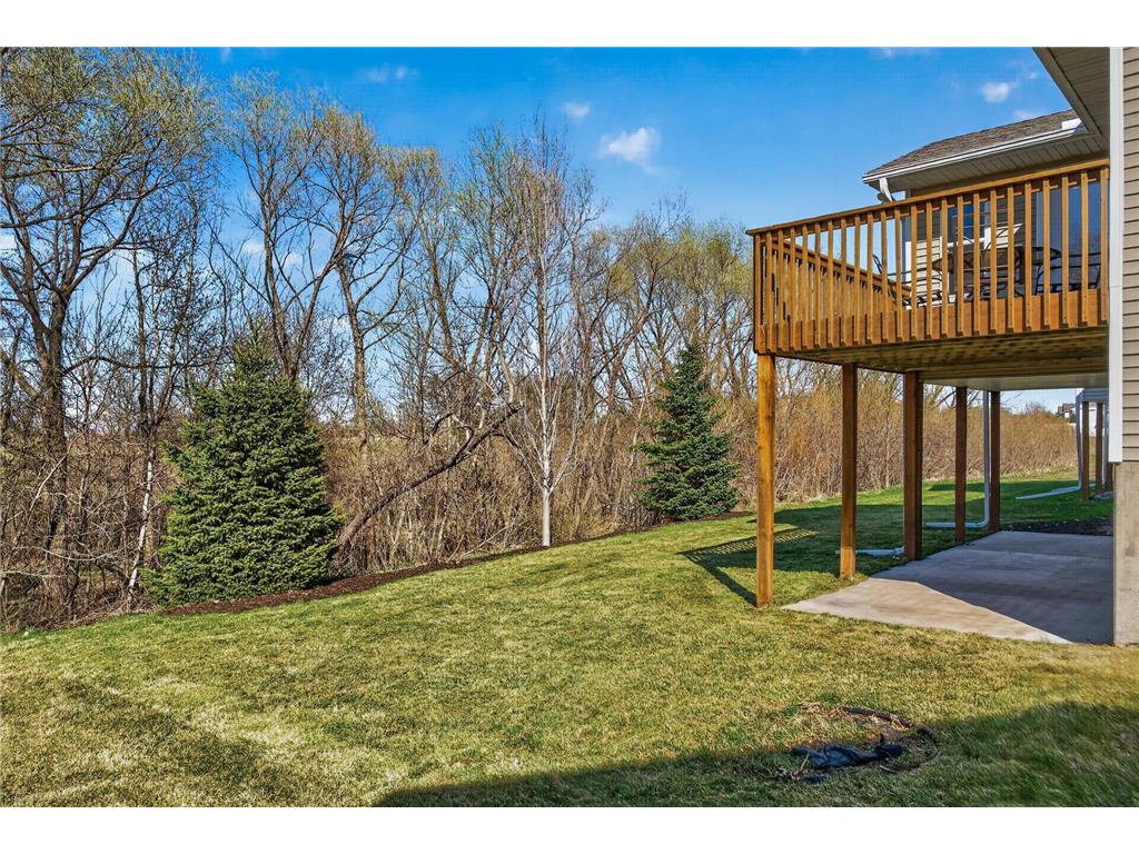 967 Breckenridge Lane Montrose MN 55363 7055664 image55