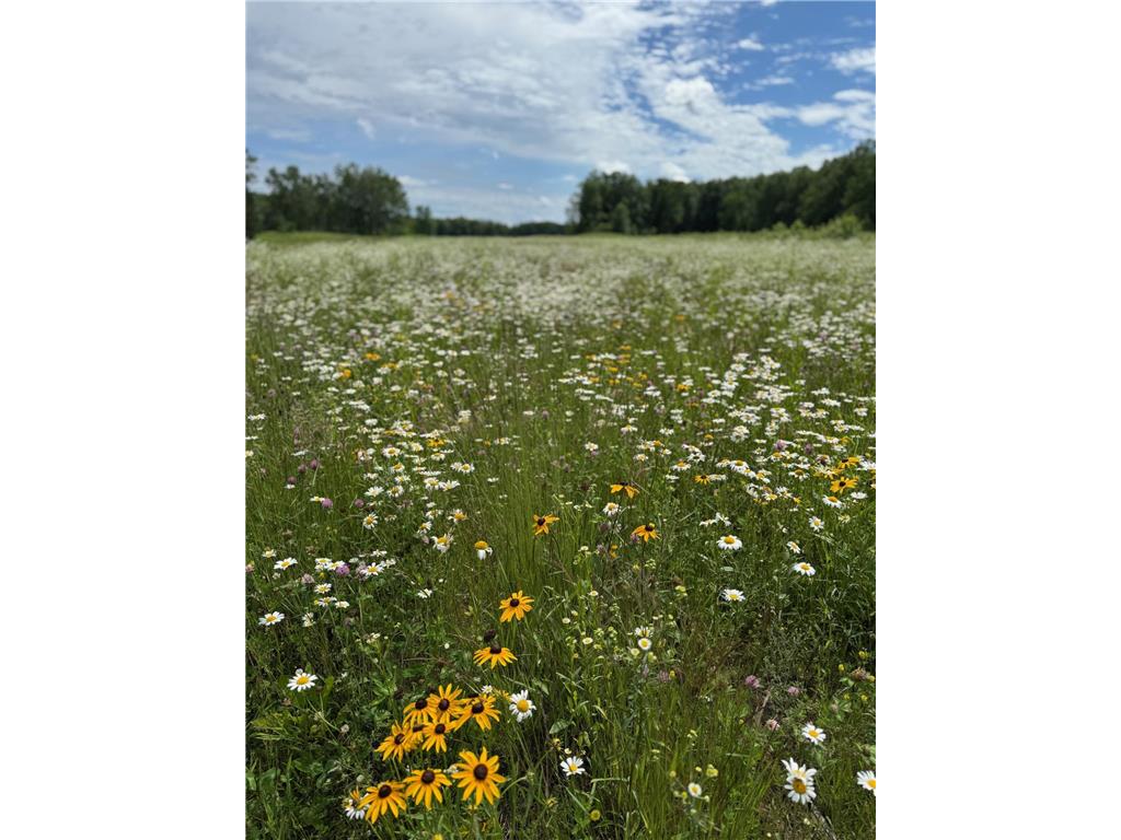 9671 Zallar Road Brainerd MN 56401 7066523 image9