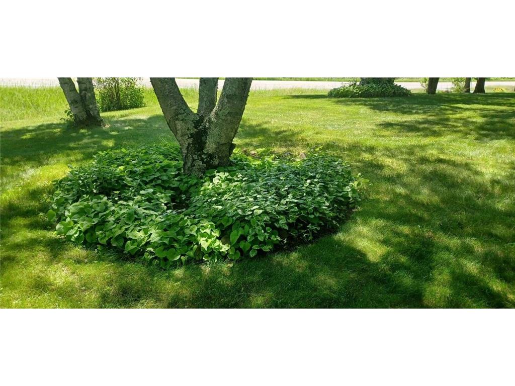 9672 Cr-1 Timothy Twp MN 56474 7034685 image11