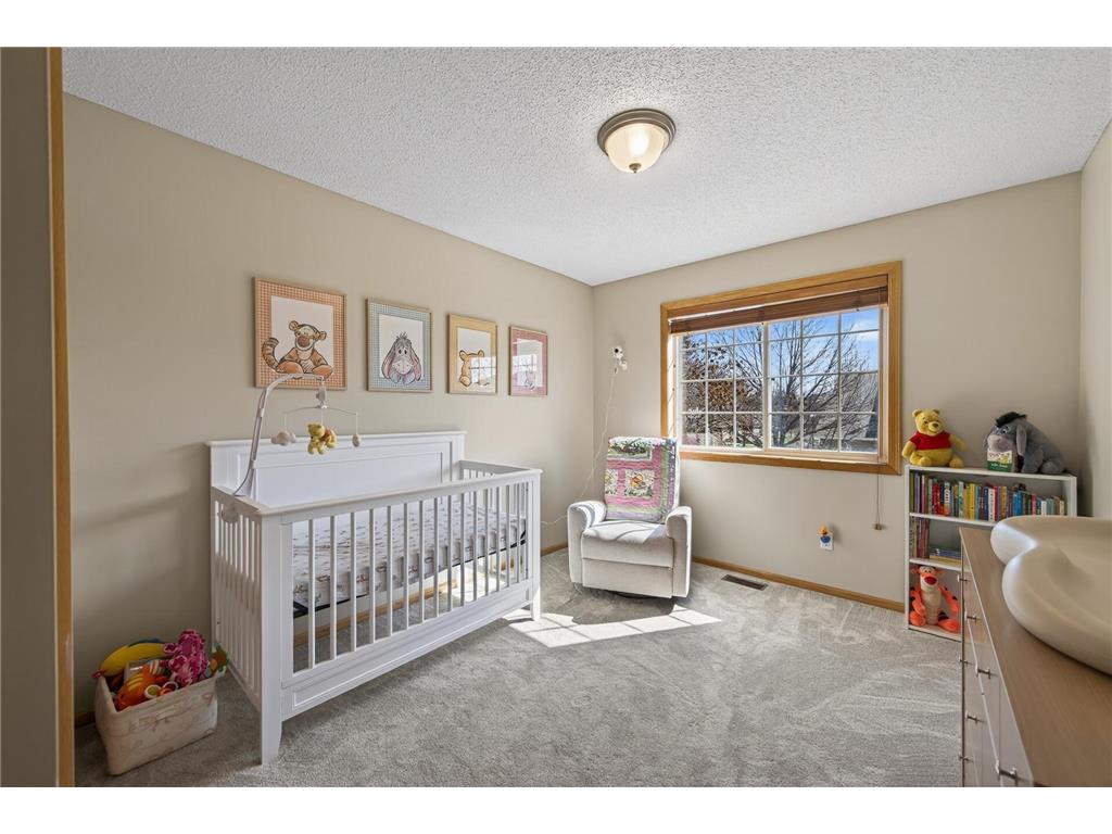 9675 Belmont Lane Eden Prairie MN 55347 7049774 image19