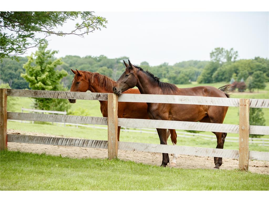 9685 County Road 13 SE Franklin Twp MN 55328 6758558 image1