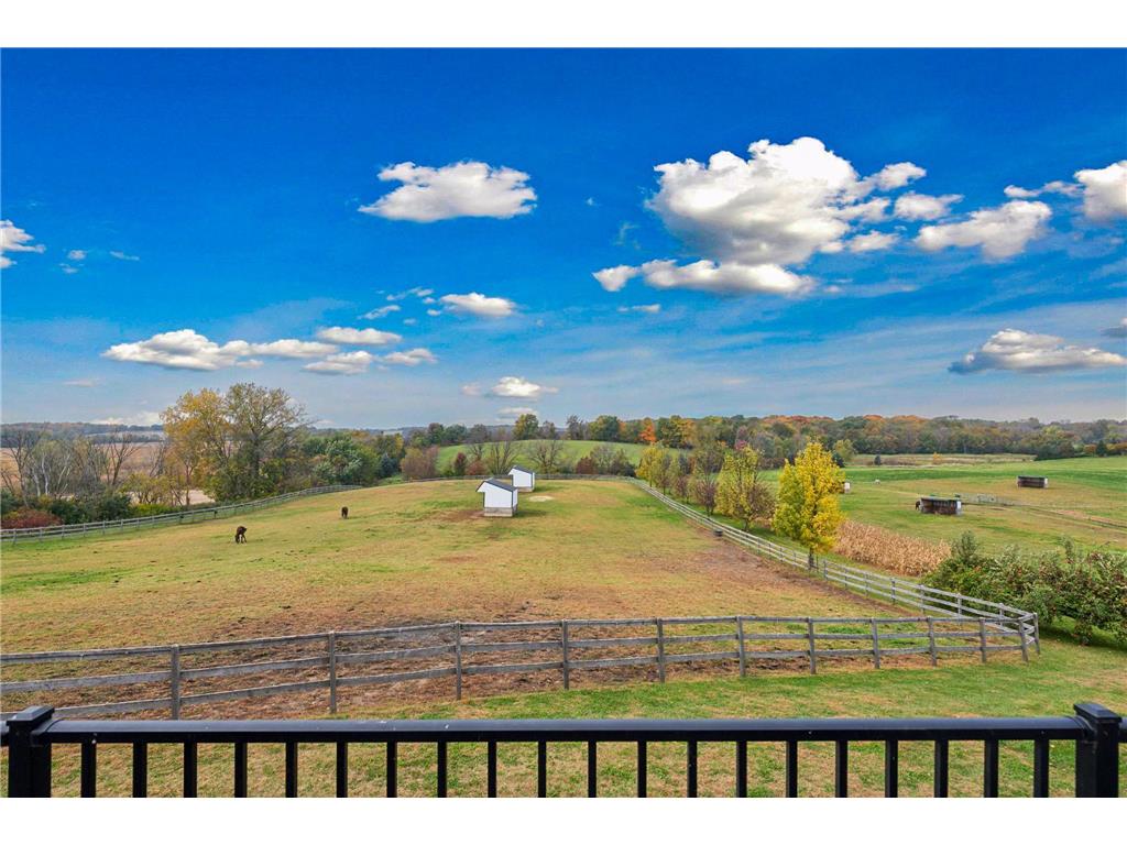 9685 County Road 13 SE Franklin Twp MN 55328 6758558 image101