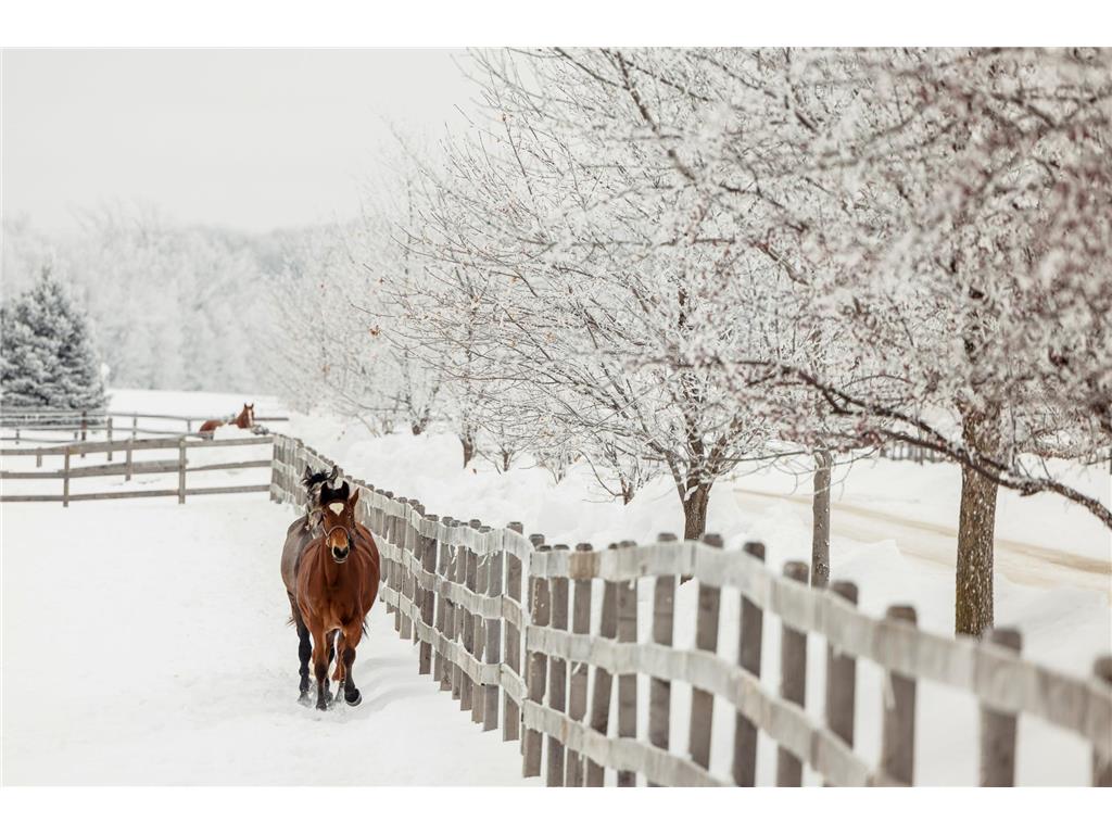 9685 County Road 13 SE Franklin Twp MN 55328 6758558 image104