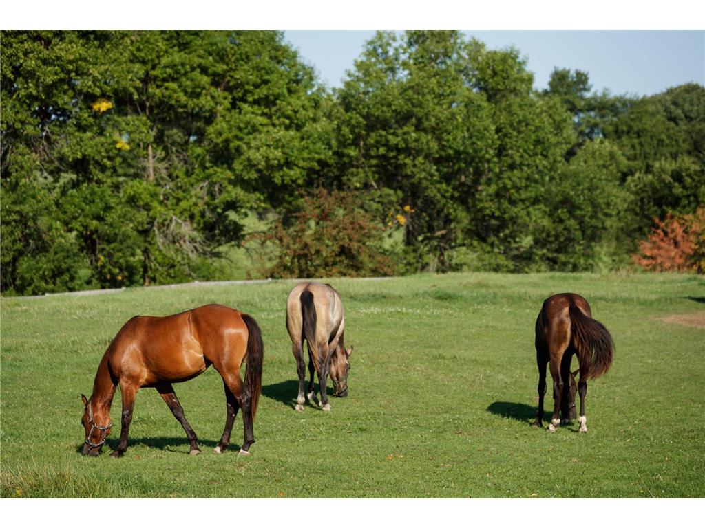 9685 County Road 13 SE Franklin Twp MN 55328 6758558 image112