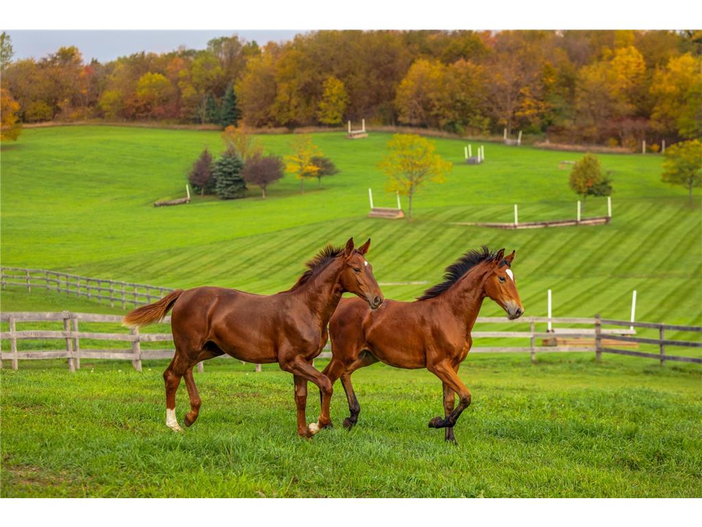 9685 County Road 13 SE Franklin Twp MN 55328 6758558 image118