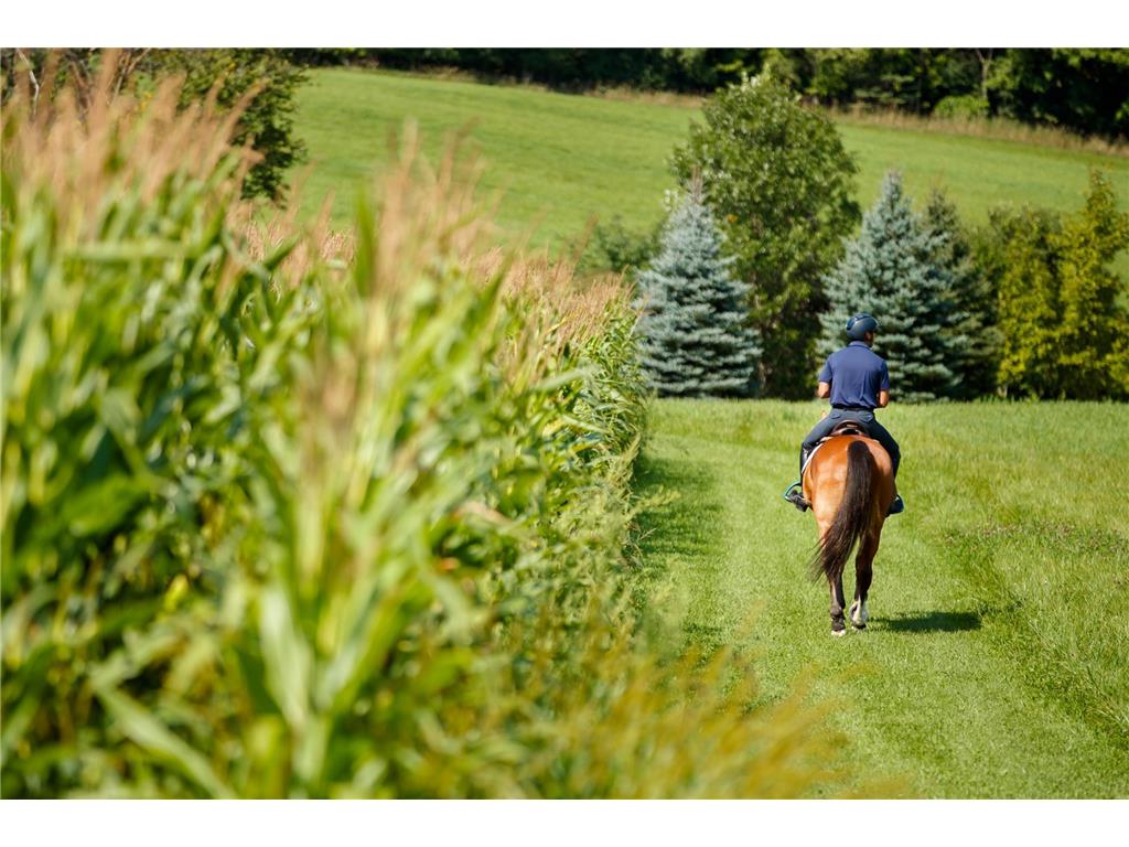 9685 County Road 13 SE Franklin Twp MN 55328 6758558 image135