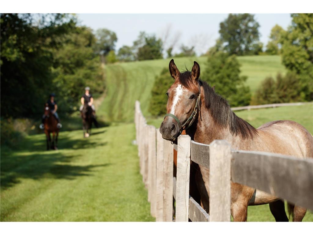 9685 County Road 13 SE Franklin Twp MN 55328 6758558 image14