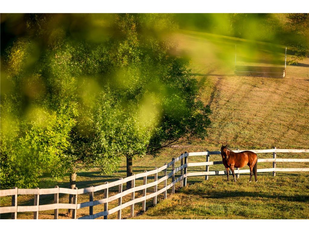 9685 County Road 13 SE Franklin Twp MN 55328 6758558 image157