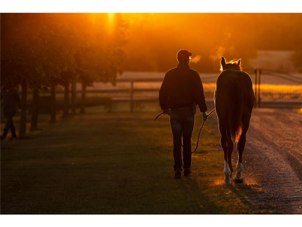 9685 County Road 13 SE Franklin Twp MN 55328 6758558 image162