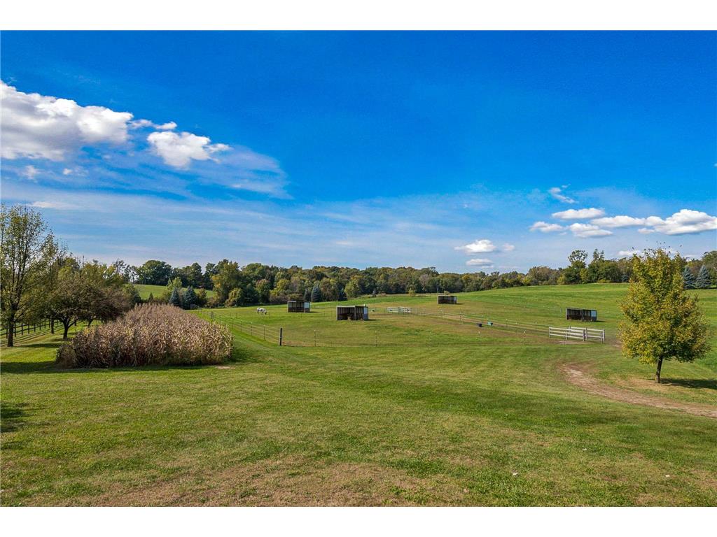 9685 County Road 13 SE Franklin Twp MN 55328 6758558 image166