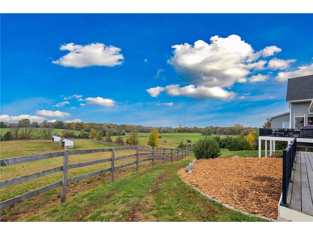 9685 County Road 13 SE Franklin Twp MN 55328 6758558 image170