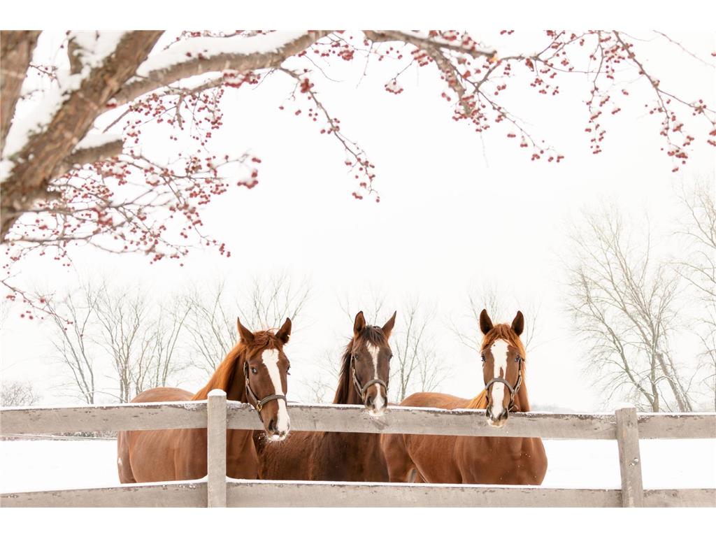 9685 County Road 13 SE Franklin Twp MN 55328 6758558 image172