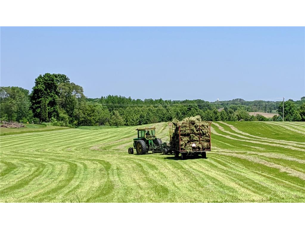 9685 County Road 13 SE Franklin Twp MN 55328 6758558 image179