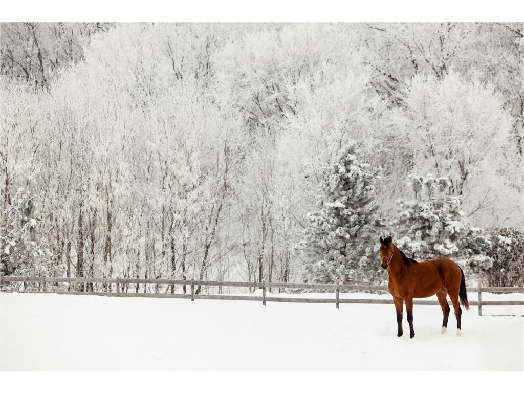 9685 County Road 13 SE Franklin Twp MN 55328 6758558 image181