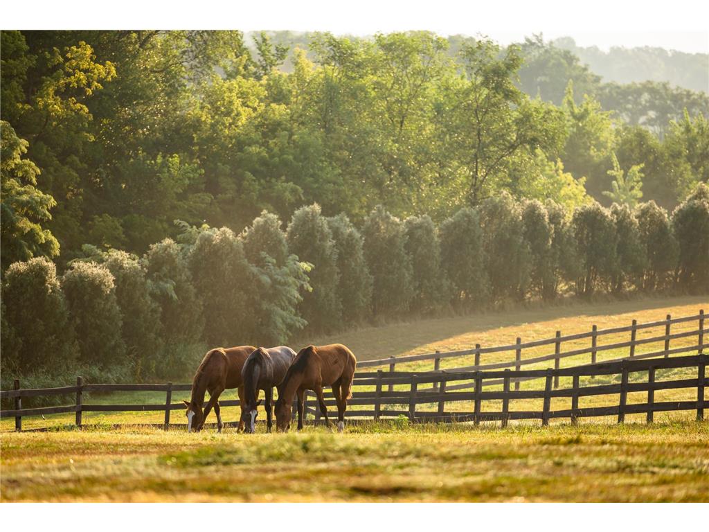 9685 County Road 13 SE Franklin Twp MN 55328 6758558 image182