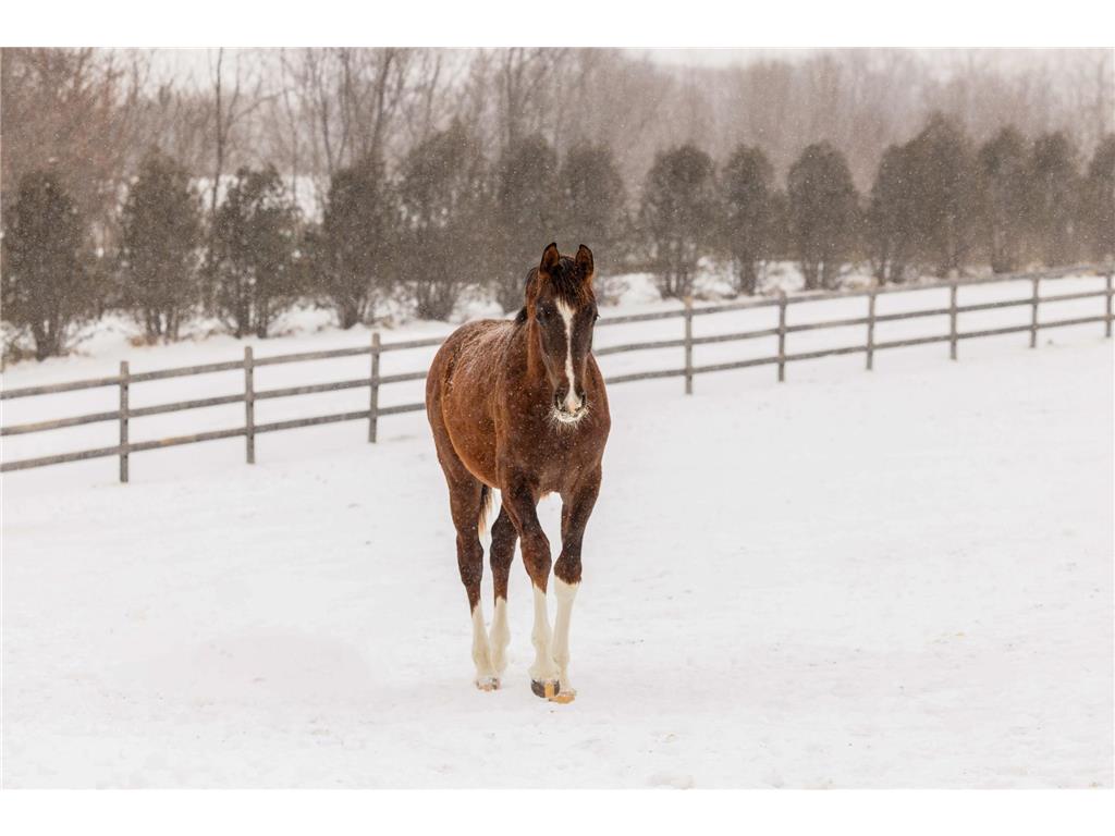 9685 County Road 13 SE Franklin Twp MN 55328 6758558 image183