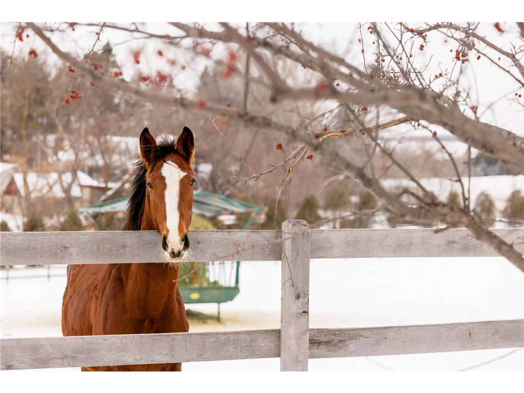 9685 County Road 13 SE Franklin Twp MN 55328 6758558 image184