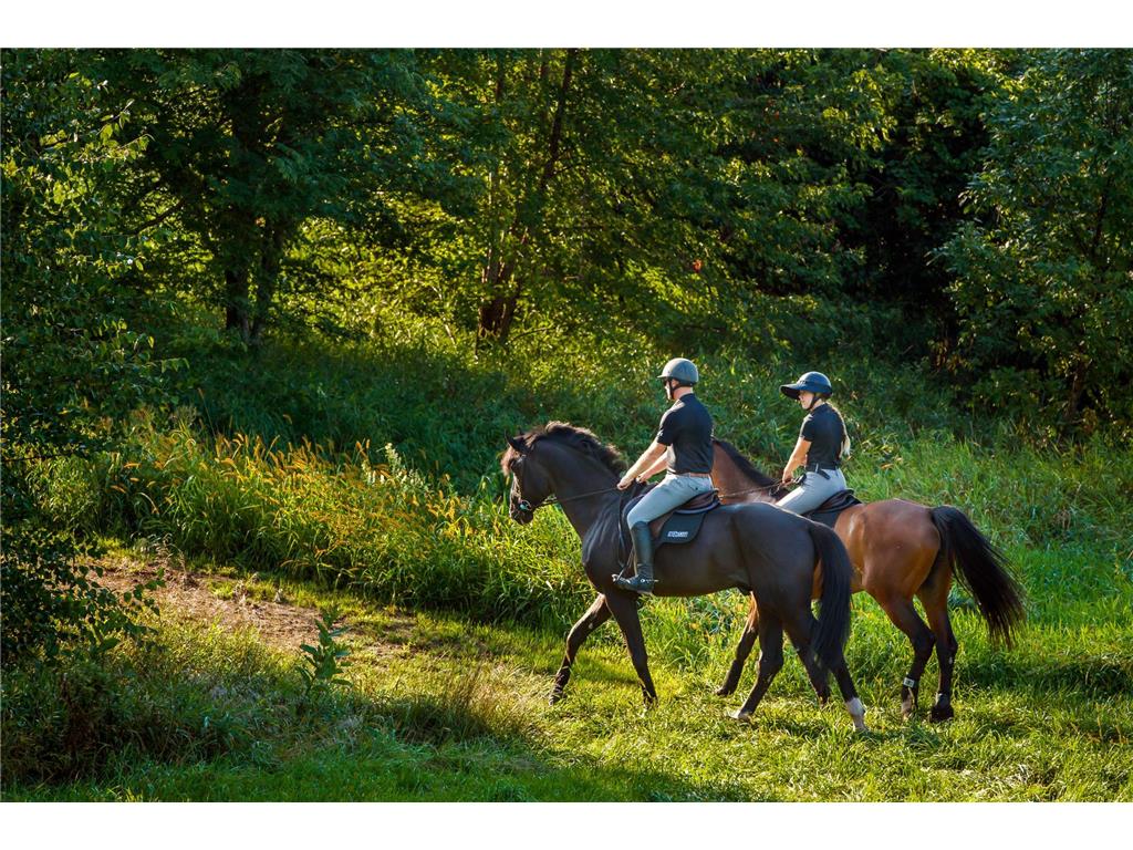 9685 County Road 13 SE Franklin Twp MN 55328 6758558 image185