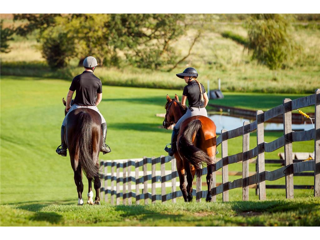 9685 County Road 13 SE Franklin Twp MN 55328 6758558 image187