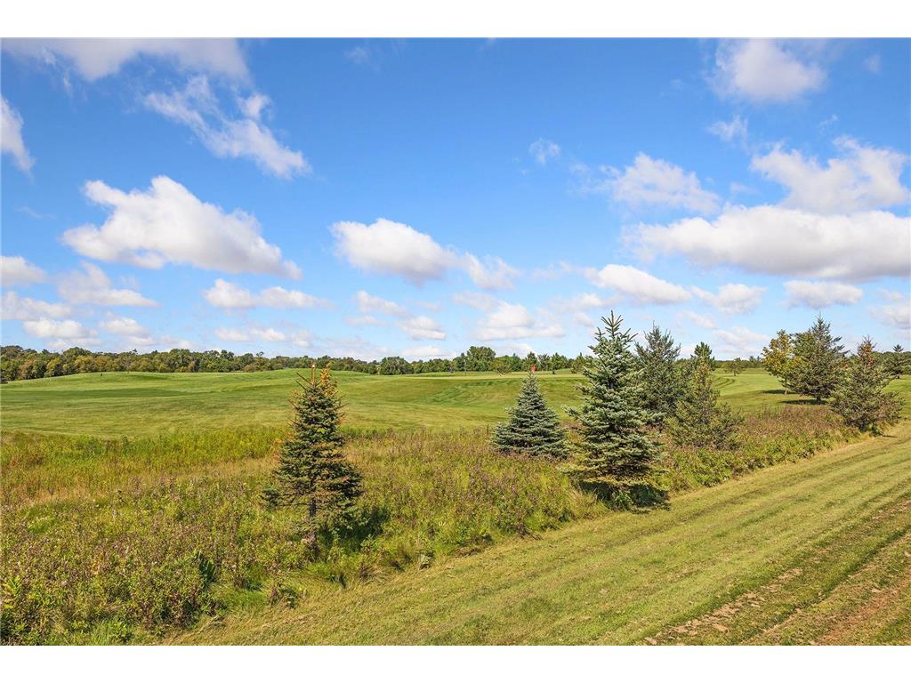 9685 County Road 13 SE Franklin Twp MN 55328 6758558 image229