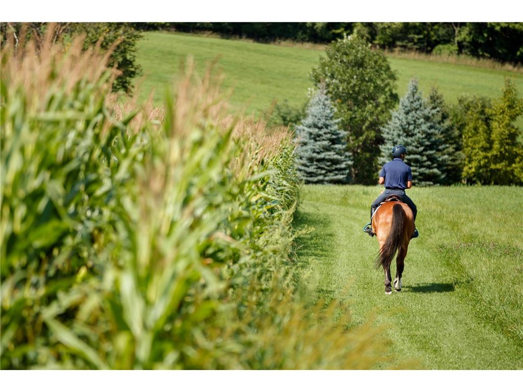 9685 County Road 13 SE Franklin Twp MN 55328 6758558 image230